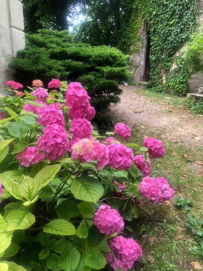 Demeure Des Payratons Panzió Saint-Gerand-le-Puy Kültér fotó
